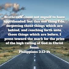 Philippians 3 13 14 King James Version Kjv Encouraging Scripture Christian Poems Amplified Bible