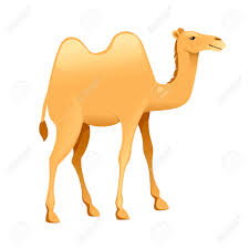 But why go to the trouble of seeking it out? Cute Two Hump Camel Cartoon Animal Design Flat Vector Illustration Royalty Free Cliparts Vectors And Stock Illustration Image 131428503