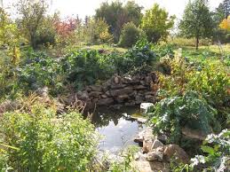 Kootenay Permaculture Institute Permaculture Design Courses Consulting In British Columbia Ontario And Across Canada Permacultuur Planten Compost
