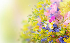 Maybe you would like to learn more about one of these? Summer Flowers Nature Wallpapers Top Free Summer Flowers Nature Backgrounds Wallpaperaccess