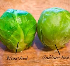 Information and translations of blanching in the most comprehensive dictionary definitions resource on the web. Why Blanch Make Your Veggies Pop With Color Healthyhappylife Com