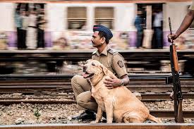 A party functionary said the incident occurred on tuesday when one of their two pet great danes 'bond' bit sharmila on the face at the couple's house krushna kunj in dadar. Raj Thackeray 10 Years Are Up Since The 26 11 Attack Facebook