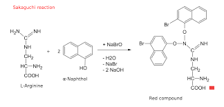 Since tryptophan was not destroyed. Sakaguchi Test Wikipedia