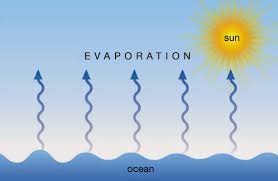 Evaporasi adalah proses penting dalam siklus air (atau hidrologi). Definisi Evaporasi Penguapan Konsep Dasar Dan Pemanfaatannya