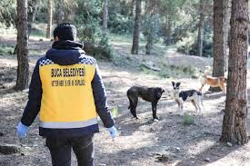 Buca Belediyesi Sokak Hayvanlari Rehabilitasyon Ve Sahiplendirme Merkezi Home Facebook
