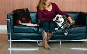 If your pet experiences a medical crisis, we're available 24/7 to provide expert, compassionate care. Animal Emergency Specialty 24 Hour Animal Hospital In Kirkland