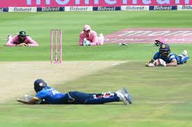 Aboutpresscopyrightcontact uscreatorsadvertisedeveloperstermsprivacypolicy & safetyhow youtube workstest new features. Comic Relief For Spectators As Bees Force Players To Hit The Ground In Sl Vs Sa Match The News Minute