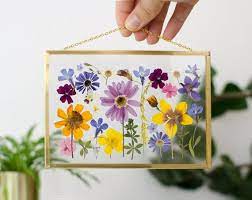 Pressed flowers in glass frame. Set Of 4 Hanging Double Glass Pressed Flower Brass Frame Floating Herbarium Gold Frame Pressed Flowers Pressed Flower Crafts Pressed Flower Art