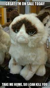 I Saw Grumpy Cat For Sale 9gag