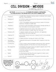 Involves the phases prophase, metaphase, anaphase, and telophase occurs in all body tissues 5. Biology Vocabulary Practice Meiosis By Get Wise With Weissert Tpt