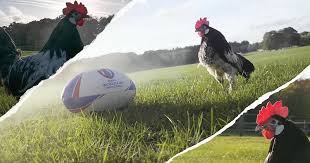 Tf1 va diffuser tous les matchs des bleues, avec un dispositif exceptionnel ! Quand Et Comment Suivre Le Tirage Au Sort Des Poules De La Coupe Du Monde 2023 Le Rugbynistere