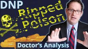 Dnp Poison Fat Burner Doctor S Analysis Of Side Effects Properties Youtube