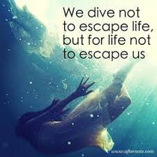 Underwater Quotes Google Search Underwater Quotes Life Life Quotes