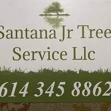 Affordable and dependable fence company serving columbus ohio. Santana Jr Tree Service Llc Columbus Oh