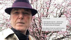 Vancouver, Let's Talk Trees!