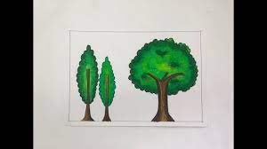 Anda bisa mengajarkan anak mewarnai dengan pewarna alami yang bisa dibut di rumah. Menggambar Dan Mewarnai Pohon Dengan Crayon Oil Pastel Youtube