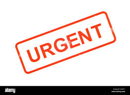 نتیجه جستجوی لغت [urgent] در گوگل