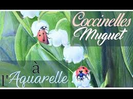 Une coccinelle se reposant sur la fleur d'un lis tigré. Demo D Aquarelle Muguet Et Coccinelles Par Cindy Barillet Youtube