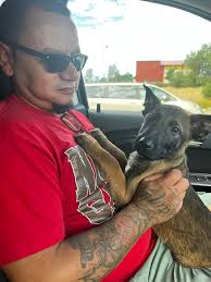 Denver animal shelter , yes I am resharing these pups . DAS.org