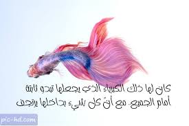 صور كبرياء عبارات عن الكبرياء مكتوبة علي صور معبرة Movie Posters Pics Image