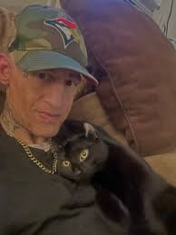 Lost cat in St Paul area