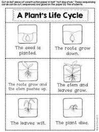 Third Grade Life Cycle Unit Google Search 3rd Grade Life Kindergarten Science Plant Life Cycle Worksheet Plant Science