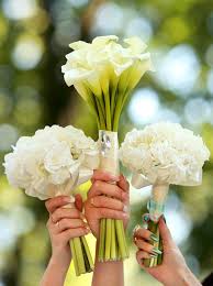Check spelling or type a new query. Brautstrauss Mit Callas Tolle Ideen Fur Eine Herrschaftliche Blume