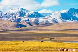 Hoh Xil Beautiful Girl On Qinghai Tibet Plateau China Org Cn Qinghai Tibet Beautiful Places In The World