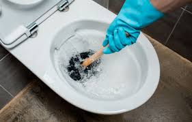 Deboucher Wc 18 Methodes Efficaces Pour Vos Toilettes