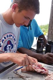 AISD Educator, Student Spend Summer Studying Marine Biology at Cape  Eleuthera Institute in the Bahamas