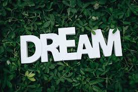 Dream is generously supported by miranda curtis cmg, the sidney e. Dream Dunedin Fl