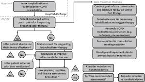 Image result for COPD Exacerbation Decision Tool