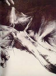 El Vuelo De La Mariposa Nocturna Luis Caballero Luis Caballero Cazador De Monstruos Caballeros