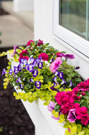 Shop high quality boxed flowers. Window Boxes That Won T Fall Apart The Lilypad Cottage