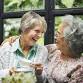 Lunch & Leisure for Seniors