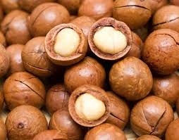 Shop superlative macadamia nuts on alibaba.com at competitive prices. Macadamia Nuts By Hammed International Trading Sdn Made In Malaysia