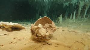 Similarly to reaper's cheststhey seem to stop spawning once a server is locked down for merger to prevent pve servers from farming them. Ancient Skeleton Discovered In Underwater Cave In Mexico Science News
