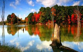 Maybe you would like to learn more about one of these? Free Fall Screensavers And Wallpaper Free Desktop Backgrounds Autumn 1680x1050 Wallpaper Teahub Io