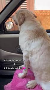 Elisa Rocco (@elisarocco1)