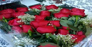 Check spelling or type a new query. Happy Anniversary Flowers