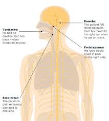 Diagnosis Medicine And Health The New York Times