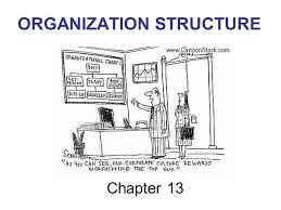 organization structure ppt video online download