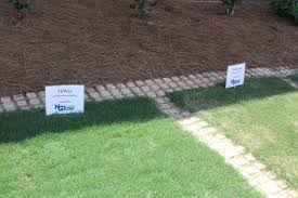 Click for more detailed meaning of mower in hindi with examples, definition, pronunciation and example sentences. Spring Turf Uga Cooperative Extension