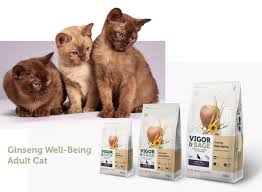 Zat larut tersebut dapat menggantikan cairan tubuh yang terbuang dari badan kita. Air Kelapa Untuk Kucing Bolehkah Majalah Cat Dog