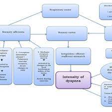 We did not find results for: Pdf Cardinal Symptoms Of Cardiovascular Diseases Dyspnea