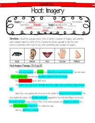 Imagery Lesson Activity For Hoot By Carl Hiaasen Lessons Activities Imagery Activities Novel Activities