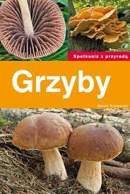 Grzyby kapeluszowe są ujęte w dwóch grupach: Grzyby Polish Edition Snowarski Marek 9788370737764 Amazon Com Books
