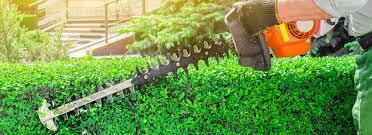 Le bon coin aisne jardinage, toutes nos annonces gratuites. Christophe Jardin Jardinier Paysagiste Vinon Sur Verdon Le Var