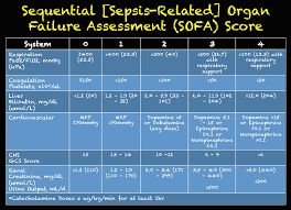 Image result for pSOFA Score