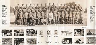 Image result for Tan 1964 Fleet